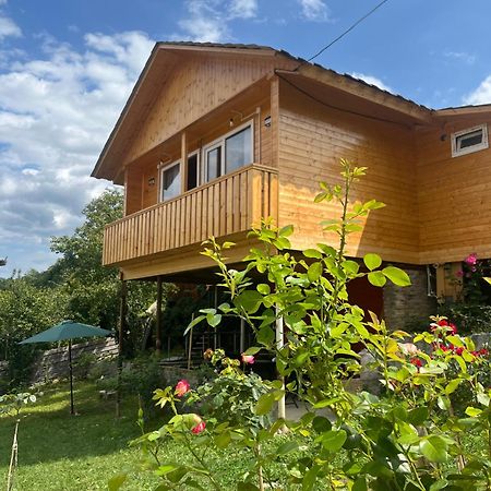 Marisi Cottage - Კოტეჯი Მარისი Ambrolauri Exterior foto